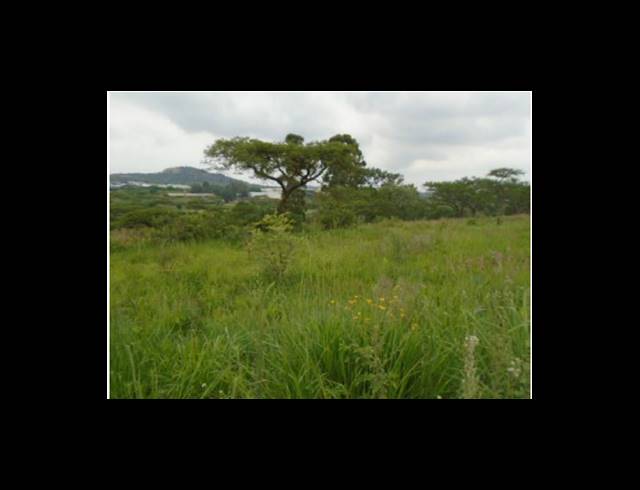 42,240M² VACANT LAND FOR SALE IN NELSPRUIT RURAL